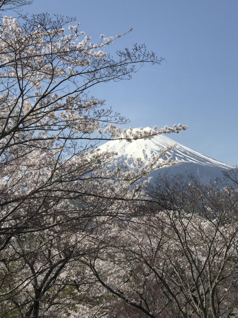 img 1313 768x1024 Kawaguchiko : Mont Fuji et onsen