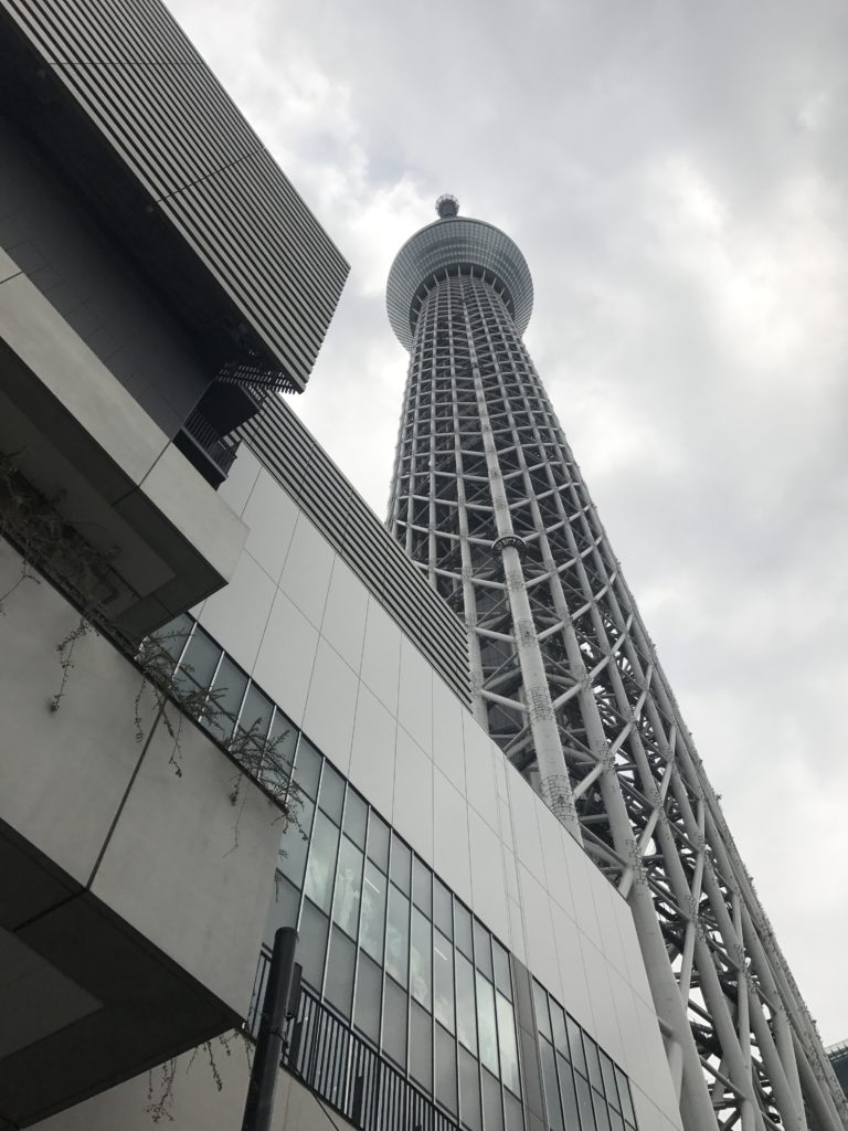 img 1495 768x1024 Tokyo (1/2) : Skytree Tower, folle Akihabara, Photo et Shopping